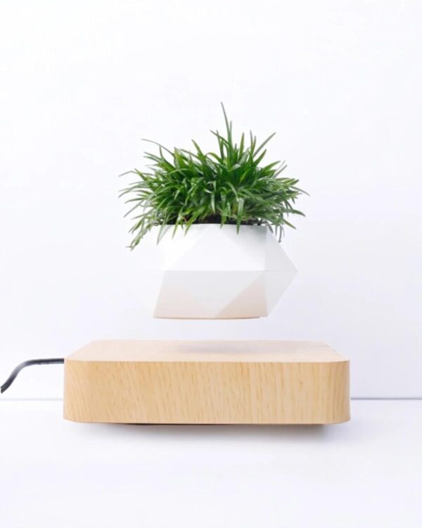 Levitating Plant pot